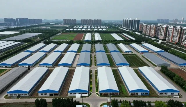 年度财税服务如何助力企业高效应对政策变化